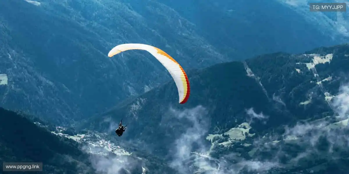 精彩纷呈，视觉盛宴！🎥🔥